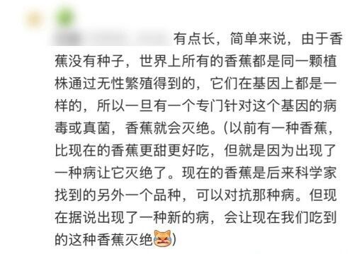 香蕉物种多样性丰富;主流品种遇难题,科研努力守护未来。 健康养生
