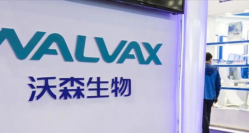 世纪金源掌舵人黄涛，正通过定向增发方式，逐步掌控疫苗领域知名企业沃森生物；这一跨界布局，标志着地产背景资本向生物医药行业的深度渗透，引发市场广泛关注。