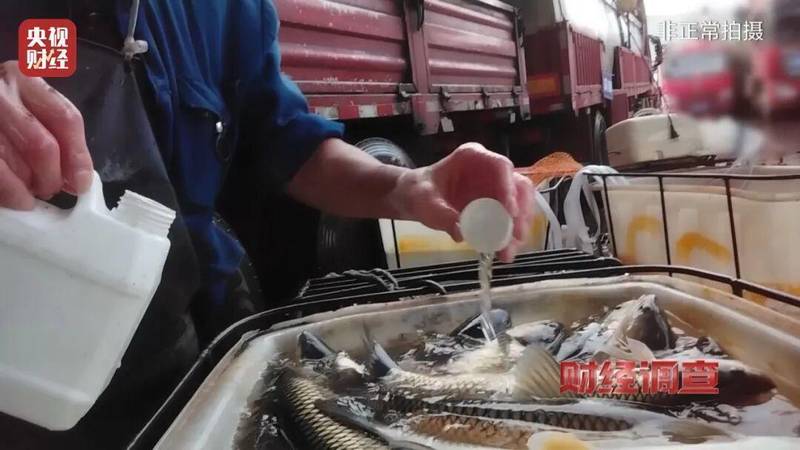 活鱼运输暗藏隐患,麻醉剂滥用曝光;监管部门迅速行动,市场乱象待整治。 健康养生 活鱼运输暗藏隐患,麻醉剂滥用曝光;监管部门迅速行动,市场乱象待整治。 健康养生