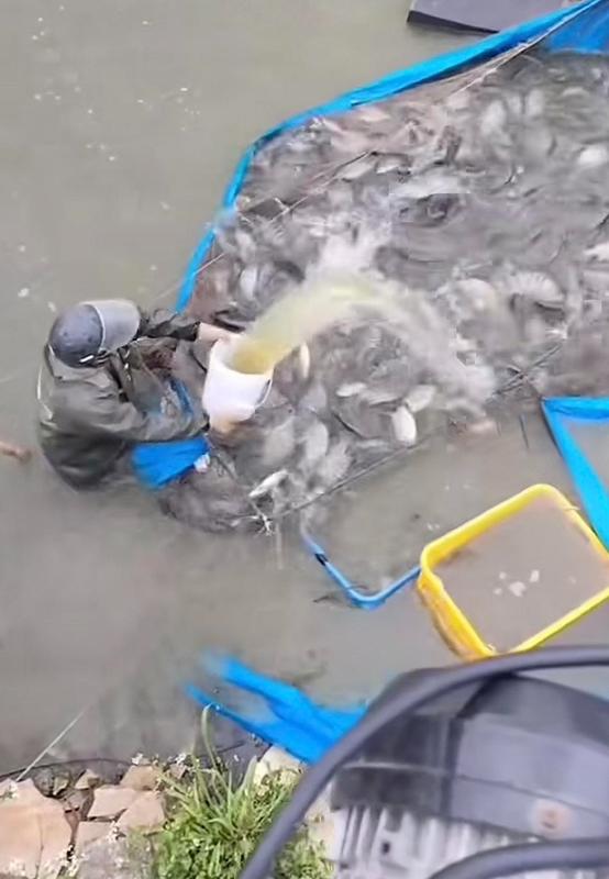 活鱼运输暗藏隐患,麻醉剂滥用曝光;监管部门迅速行动,市场乱象待整治。 健康养生 活鱼运输暗藏隐患,麻醉剂滥用曝光;监管部门迅速行动,市场乱象待整治。 健康养生