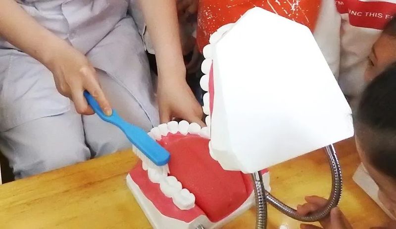 【心理复盘】刷牙焦虑症:为什么我们努力了,牙齿却并不买账? 情感心理 【心理复盘】刷牙焦虑症:为什么我们努力了,牙齿却并不买账? 情感心理 【心理复盘】刷牙焦虑症:为什么我们努力了,牙齿却并不买账? 情感心理