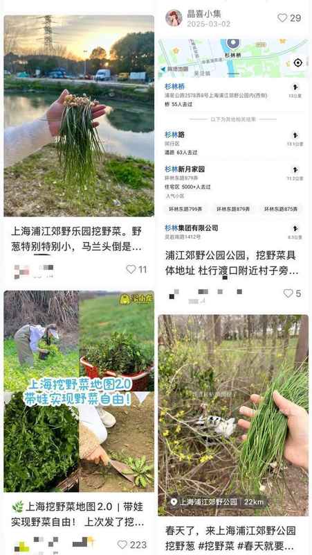 贪恋春日野味却酿苦果?掌握科学饮食避开安全陷阱。 健康养生 贪恋春日野味却酿苦果?掌握科学饮食避开安全陷阱。 健康养生