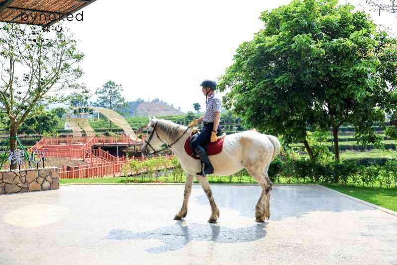  从水泥厂到茶园秘境：裸心集团华南首作的工业遗存改造方法论 文化旅游