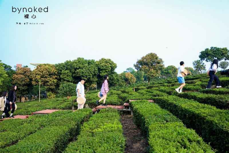  从水泥厂到茶园秘境：裸心集团华南首作的工业遗存改造方法论 文化旅游