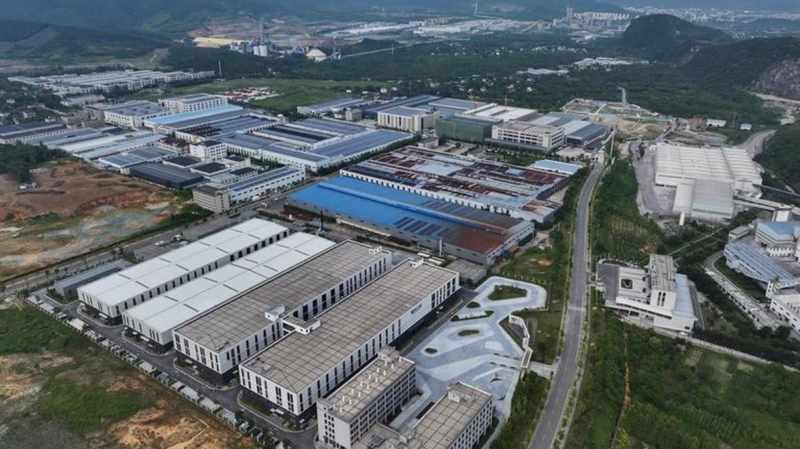  政府采购数字化转型深层逻辑：六大任务背后的政策架构与技术路径 股票财经