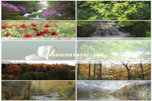 神秘未知的领域 带来显著的人生转变