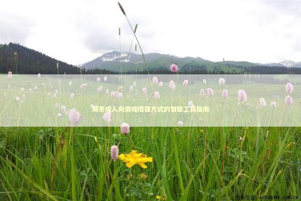 探索成人向游戏增强方式的智能工具指南