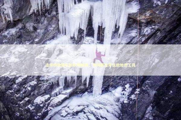 追求极致隐私的职场精英，为何都在用这款加密工具 IT技术