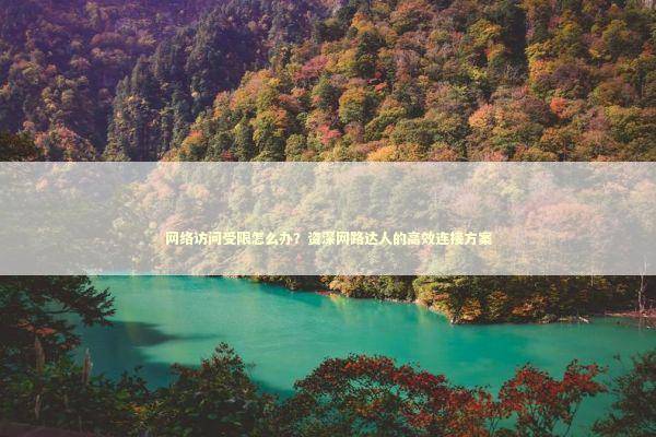 网络访问受限怎么办？资深网路达人的高效连接方案