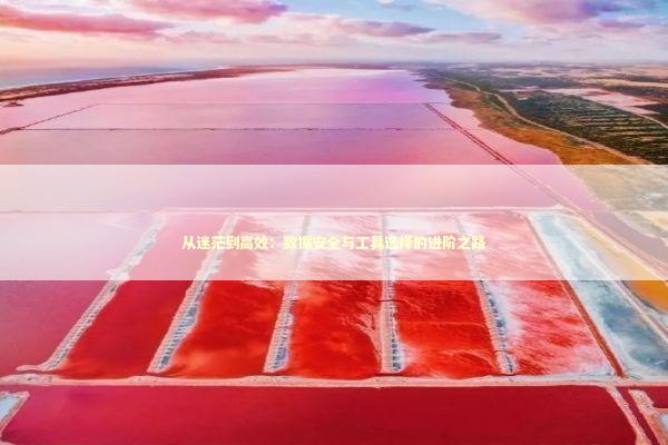 从迷茫到高效：数据安全与工具选择的进阶之路